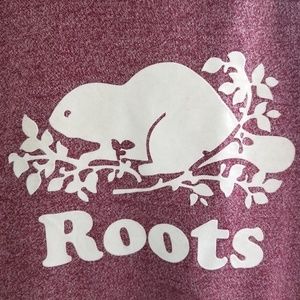 Roots Womens Colourblocked Kanga Hoodie